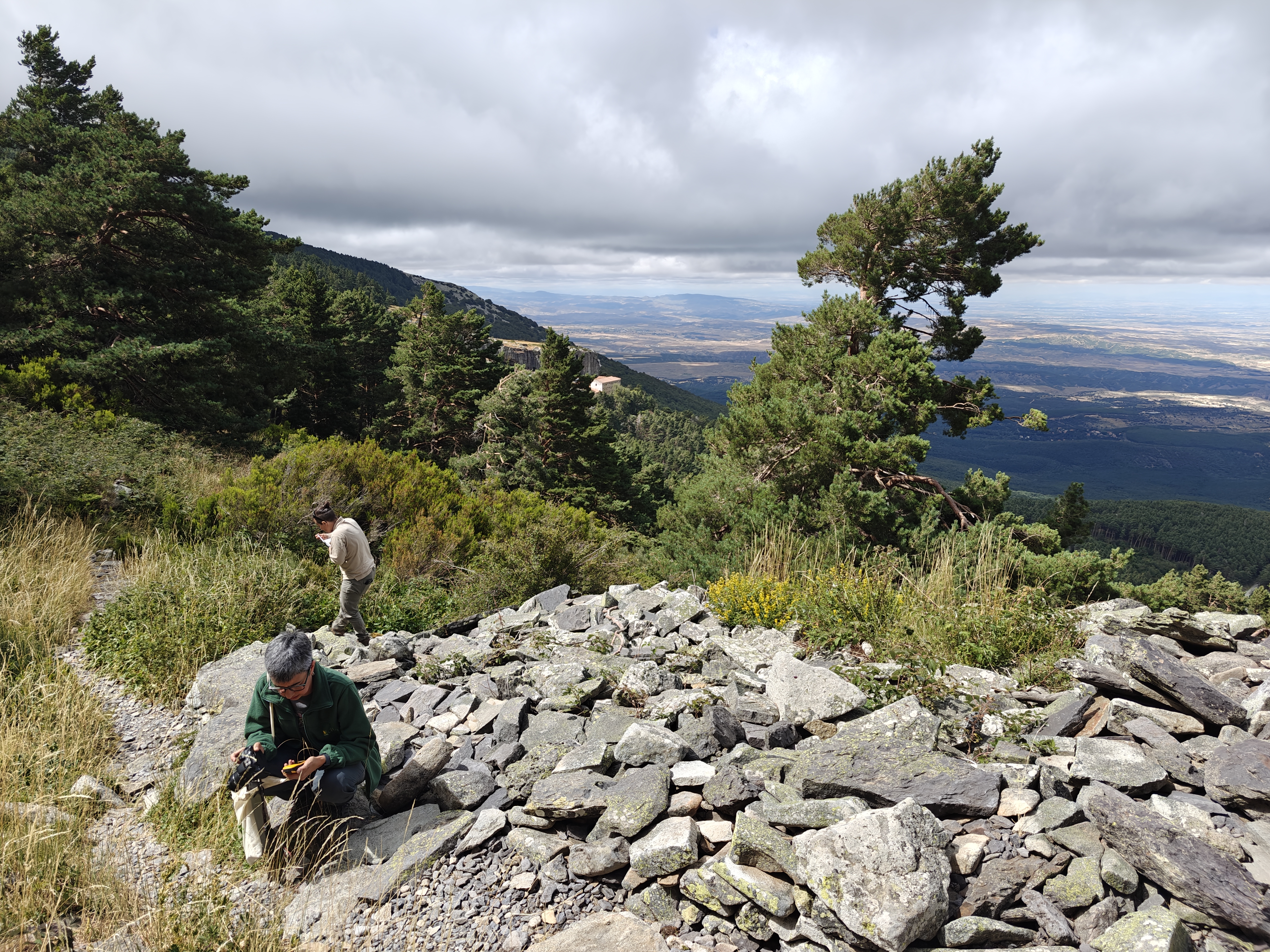 Fieldwork